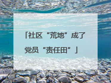 社区“荒地”成了党员“责任田”