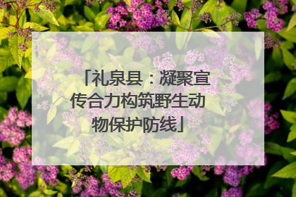 礼泉县：凝聚宣传合力构筑野生动物保护防线