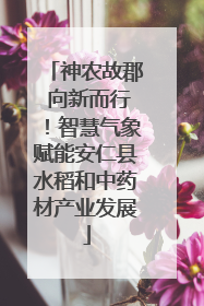 神农故郡 向新而行！智慧气象赋能安仁县水稻和中药材产业发展