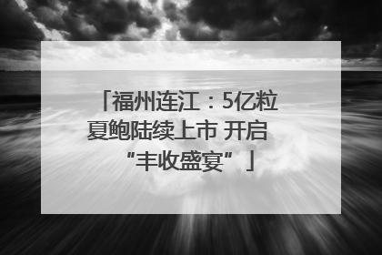 福州连江：5亿粒夏鲍陆续上市 开启“丰收盛宴”