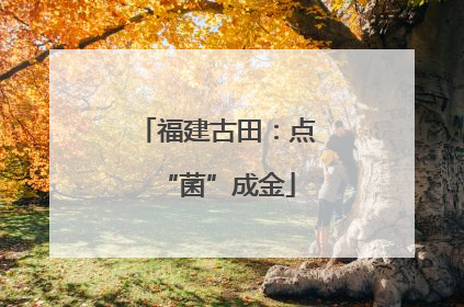 福建古田：点“菌”成金