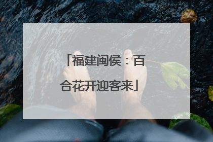 福建闽侯：百合花开迎客来