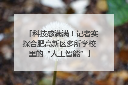 科技感满满！记者实探合肥高新区多所学校里的“人工智能”