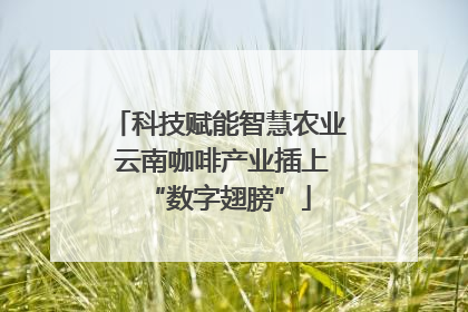 科技赋能智慧农业 云南咖啡产业插上“数字翅膀”