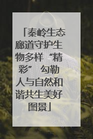 秦岭生态廊道守护生物多样“精彩” 勾勒人与自然和谐共生美好图景