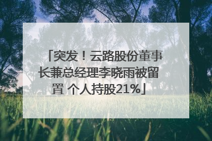 突发！云路股份董事长兼总经理李晓雨被留置 个人持股21%