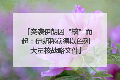突袭伊朗因“核”而起：伊朗称获得以色列大量核战略文件
