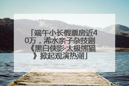 端午小长假票房近40万，浠水亲子杂技剧《黑白侠影·太极熊猫》掀起观演热潮