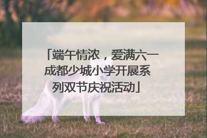 端午情浓，爱满六一 成都少城小学开展系列双节庆祝活动