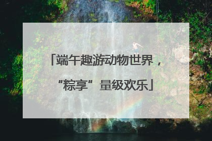 端午趣游动物世界，“粽享”量级欢乐
