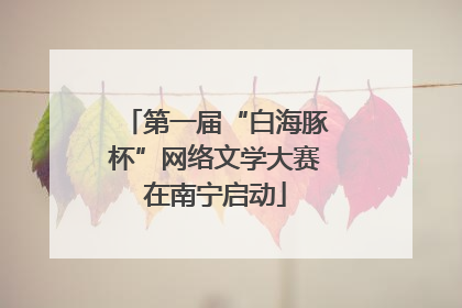 第一届“白海豚杯”网络文学大赛在南宁启动