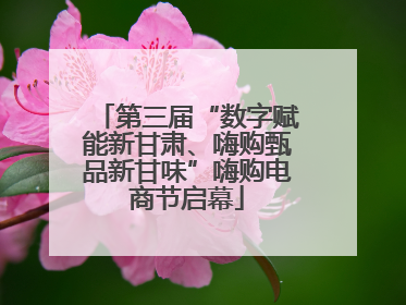 第三届“数字赋能新甘肃、嗨购甄品新甘味”嗨购电商节启幕