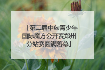 第二届中匈青少年国际魔方公开赛郑州分站赛圆满落幕