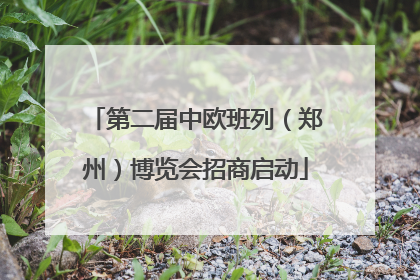第二届中欧班列（郑州）博览会招商启动