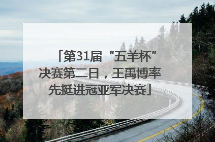 第31届“五羊杯”决赛第二日，王禹博率先挺进冠亚军决赛