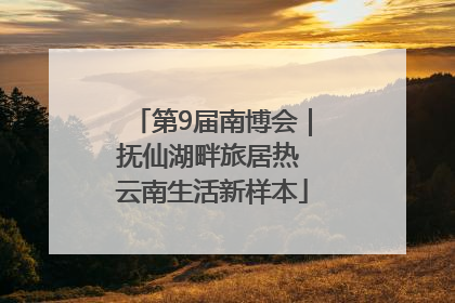 第9届南博会｜抚仙湖畔旅居热 云南生活新样本