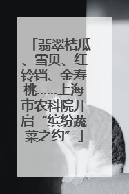 翡翠桔瓜、雪贝、红铃铛、金寿桃……上海市农科院开启“缤纷蔬菜之约”