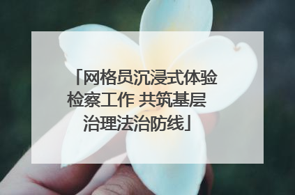 网格员沉浸式体验检察工作 共筑基层治理法治防线