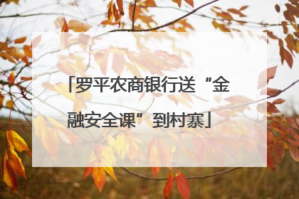 罗平农商银行送“金融安全课”到村寨