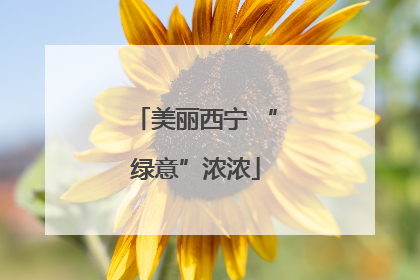 美丽西宁 “绿意”浓浓