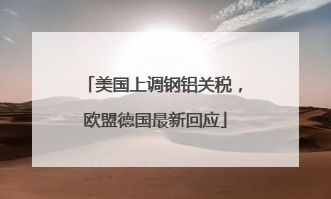 美国上调钢铝关税，欧盟德国最新回应