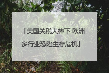 美国关税大棒下 欧洲多行业恐陷生存危机