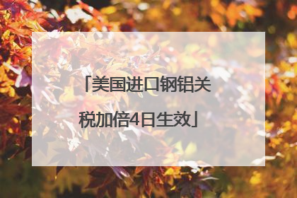 美国进口钢铝关税加倍4日生效