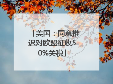 美国：同意推迟对欧盟征收50%关税