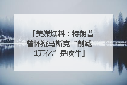 美媒爆料：特朗普曾怀疑马斯克“削减1万亿”是吹牛