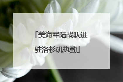 美海军陆战队进驻洛杉矶执勤