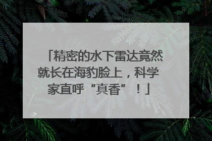 精密的水下雷达竟然就长在海豹脸上，科学家直呼“真香”！