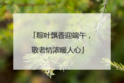 粽叶飘香迎端午，敬老情浓暖人心