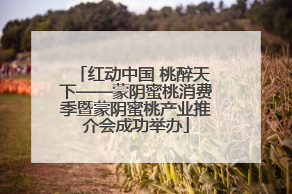 红动中国 桃醉天下——蒙阴蜜桃消费季暨蒙阴蜜桃产业推介会成功举办