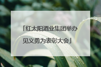 红太阳酒业集团举办见义勇为表彰大会