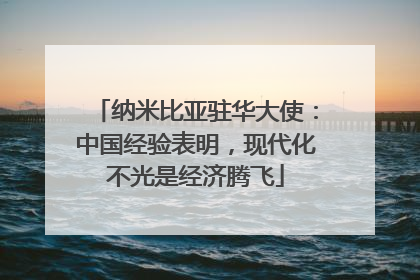 纳米比亚驻华大使：中国经验表明，现代化不光是经济腾飞