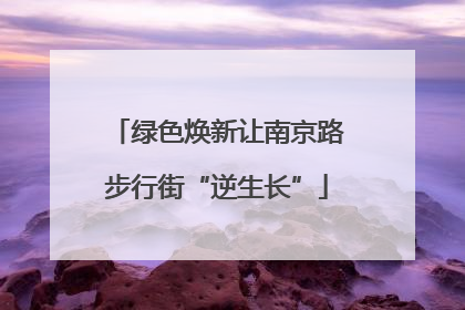 绿色焕新让南京路步行街“逆生长”
