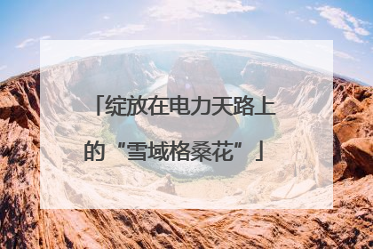 绽放在电力天路上的“雪域格桑花”