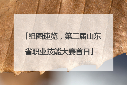 组图速览，第二届山东省职业技能大赛首日