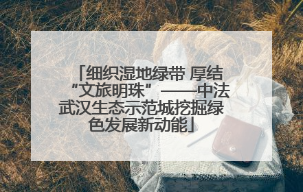 细织湿地绿带 厚结“文旅明珠”——中法武汉生态示范城挖掘绿色发展新动能