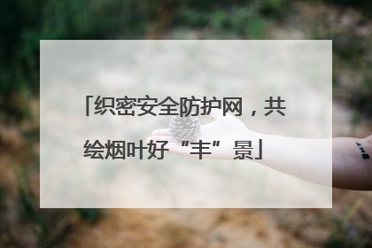 织密安全防护网，共绘烟叶好“丰”景