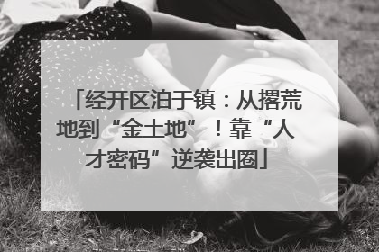 经开区泊于镇：从撂荒地到“金土地”！靠“人才密码”逆袭出圈