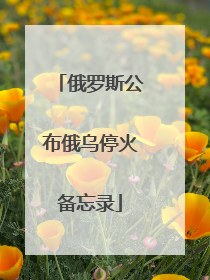 俄罗斯公布俄乌停火备忘录