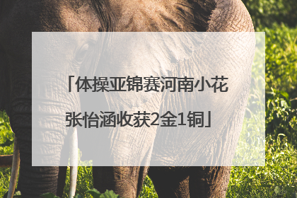 体操亚锦赛河南小花张怡涵收获2金1铜