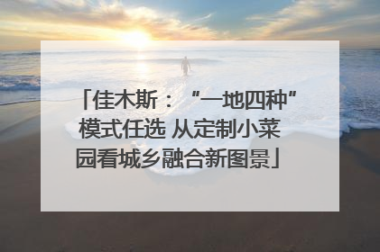 佳木斯：“一地四种” 模式任选 从定制小菜园看城乡融合新图景