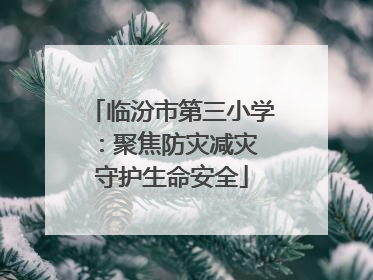 临汾市第三小学：聚焦防灾减灾 守护生命安全