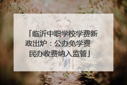 临沂中职学校学费新政出炉：公办免学费 民办收费纳入监管
