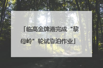 临高金牌港完成“黎母岭”轮试靠泊作业