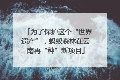 为了保护这个“世界遗产”，蚂蚁森林在云南再“种”新项目