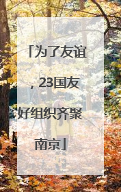 为了友谊，23国友好组织齐聚南京