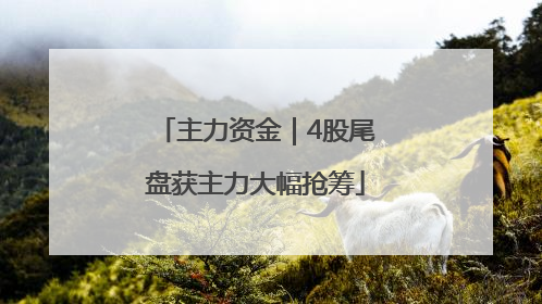 主力资金｜4股尾盘获主力大幅抢筹